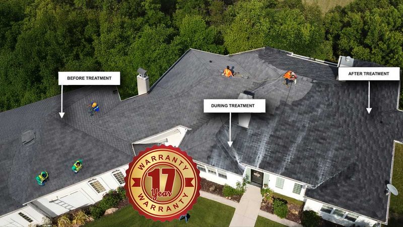 Why Roof Rejuvenation Services Are Essential for Maintaining Home